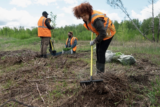 Herbebossing gedaan door vrijwillige groep