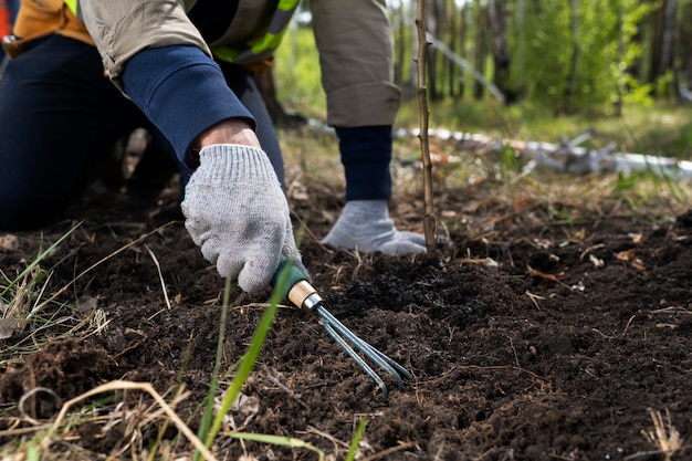 Gratis foto herbebossing gedaan door vrijwillige groep