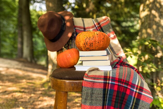 Herfst arrangement met deken en boeken op stoel