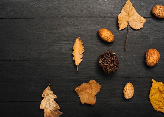 Herfst bladeren en kernels