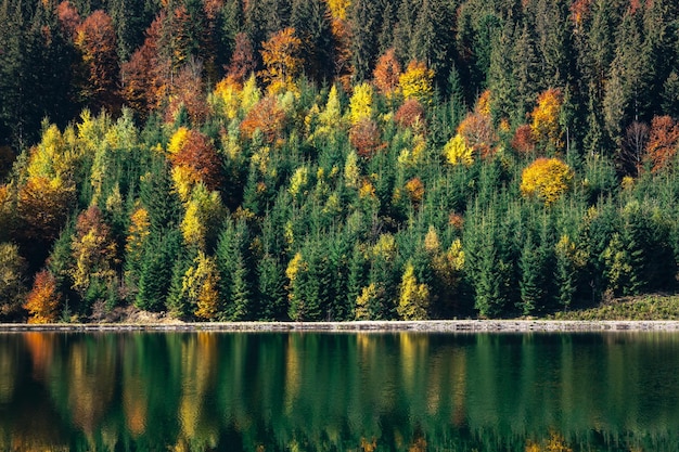 Herfst bos en meer in een bergachtig gebied natuurlijke achtergrond