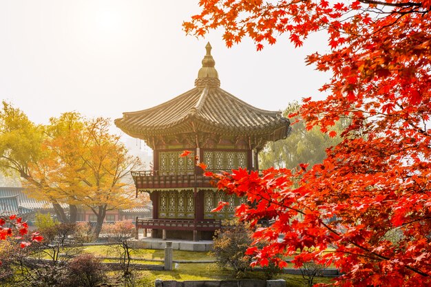 Herfst in Gyeongbokgung Palace, Seoul in Zuid-Korea