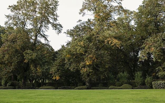 herfst in Leeds Hyde Park
