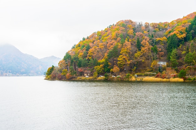 Herfst landschap met meer en bomen