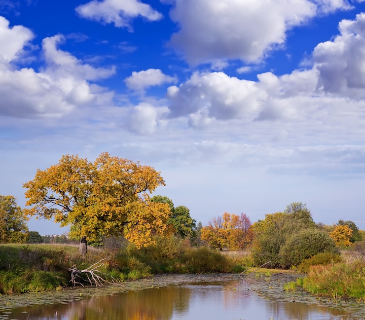 Gratis Foto herfst landschap met rivier