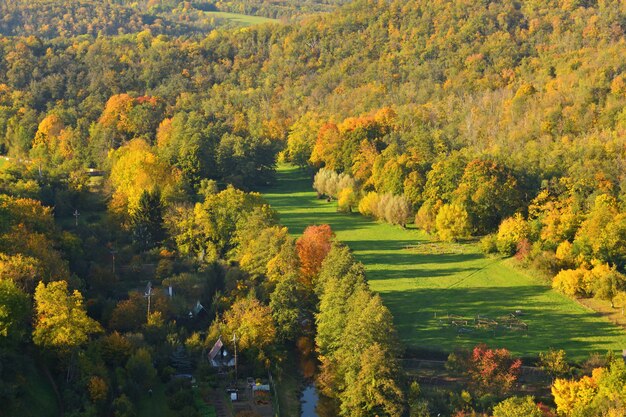 Herfst. Mooie kleurrijke bladeren op bomen in de herfsttijd. Natuurlijke seizoensgebonden kleur achtergrond.