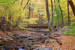 Gratis foto herfstbos met houten brug