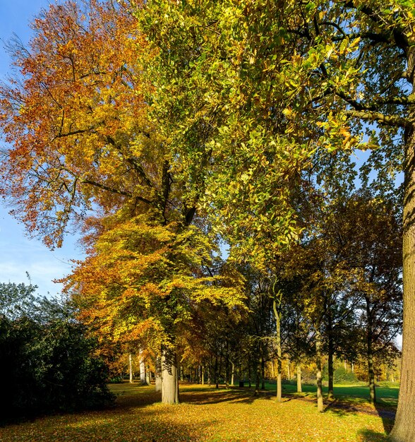 Herfstkleuren