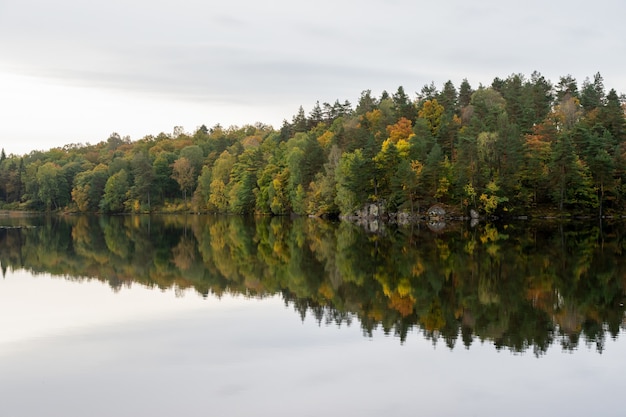 Gratis foto herfstlandschap door een meer, bomen met herfstkleuren.