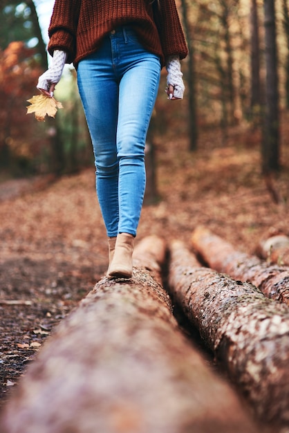 Gratis foto herfstwandeling over bospad