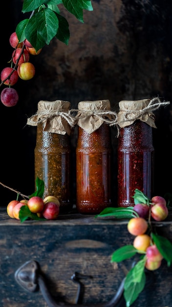 Het assortiment van tkemali is een traditionele georgische saus met kersenpruim