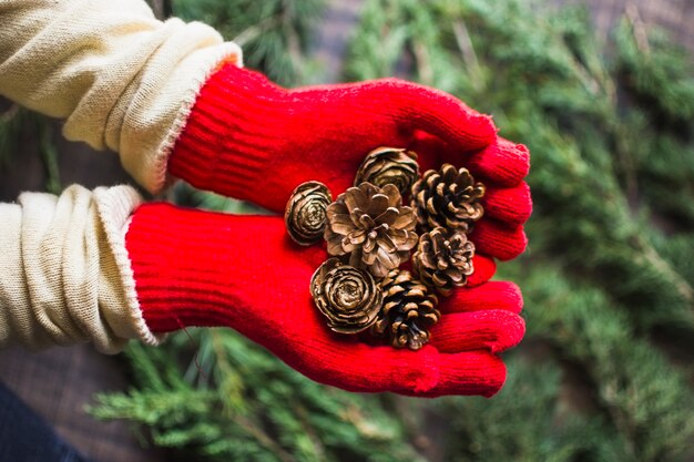 Het gewas dient handschoenen in die coniferkegels tonen