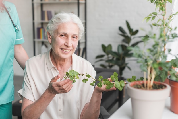 Gratis foto het glimlachen van hogere klimop van de vrouwenholding klimop het groeien in pot