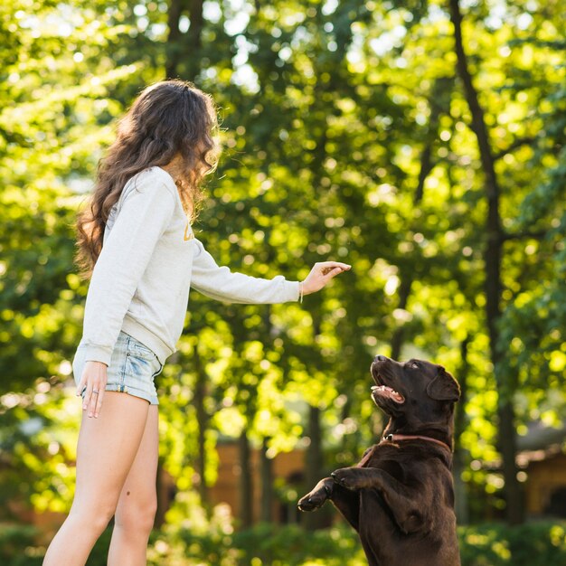 Het jonge vrouw spelen met haar hond in tuin