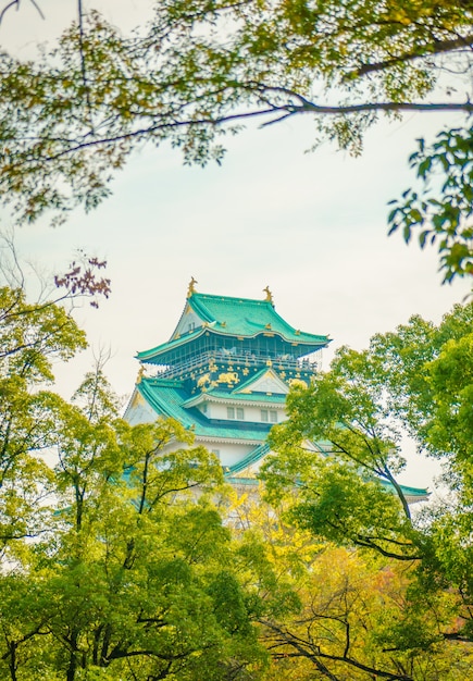 Het kasteel van Osaka in Osaka Japan