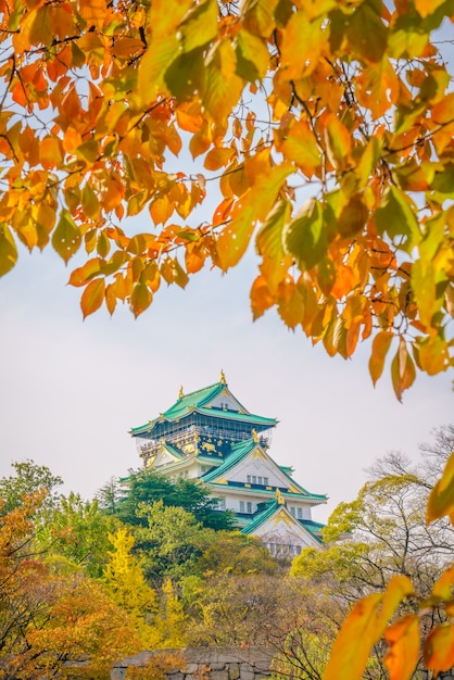 Het kasteel van osaka in osaka japan