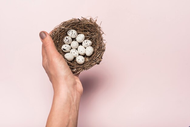 Het nest van de persoonsholding met kwartelseieren