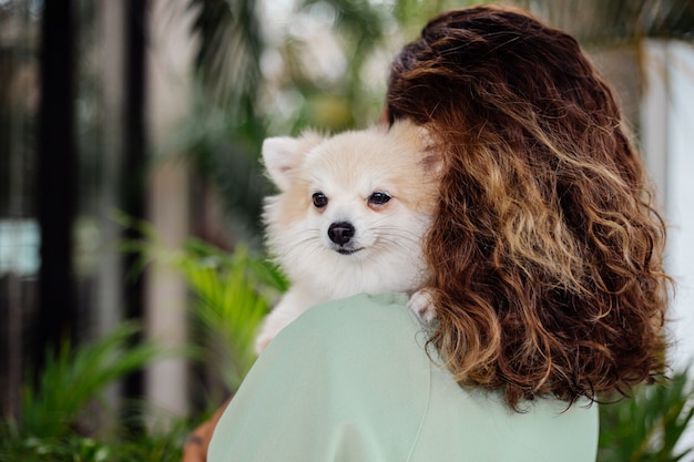 Het openluchtportret van krullende Europese gelooide vrouw houdt gelukkige spitz van Pommeren van de huisdierenhond