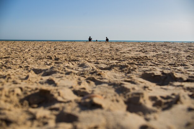 het strand