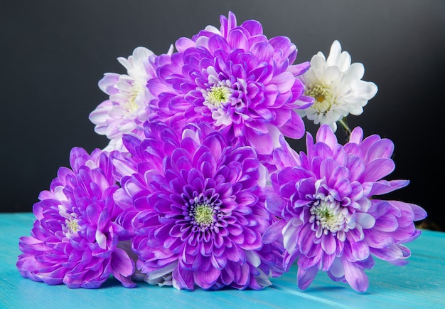 Het zijaanzicht van violet en wit kleurenchrysant bloeit boeket dat bij blauwe en zwarte achtergrond wordt geïsoleerd