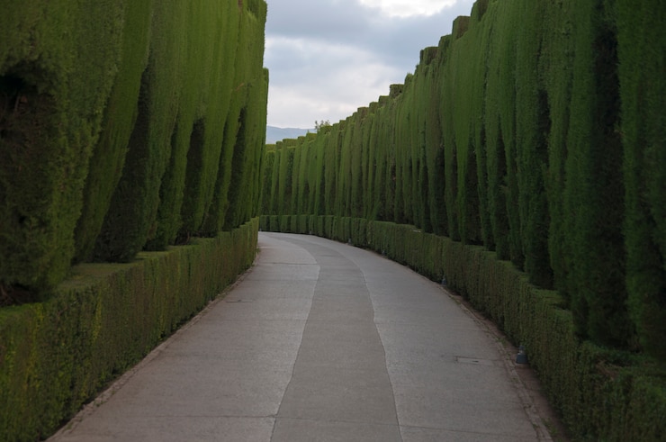 historisch landschap paleiskasteel weg