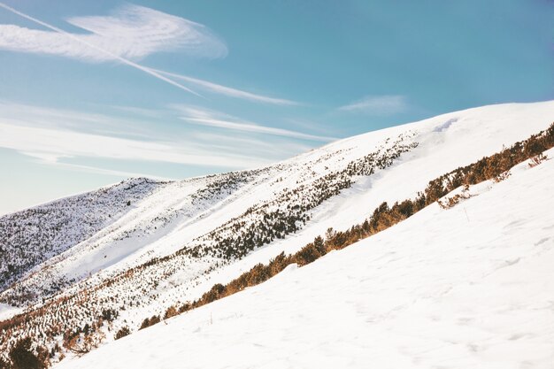 Hoge berg bedekt met sneeuw