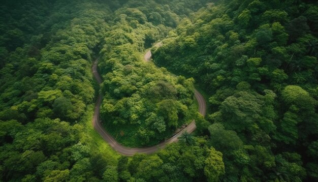 Hoge drone legt rustige bergweide vast die is gegenereerd door AI