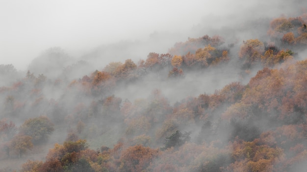 Hoge engel die van een mist in de bergbossen is ontsproten