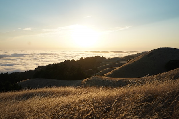 Hoge heuvels bedekt met droog gras op een zonnige dag met een zichtbare skyline op Mt. Tam in Marin, Californië