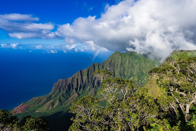 Hoge hoek die van de beroemde Kalalau-vallei in Kauai, Hawaï is ontsproten