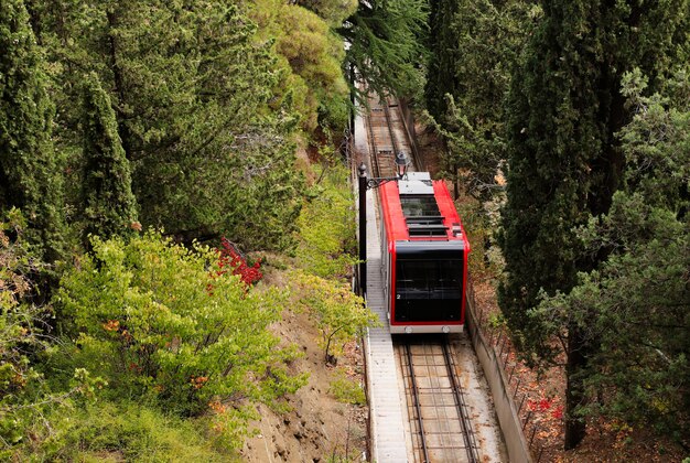 Hoge hoek die van een trein op de spoorwegen in het midden van een bos is ontsproten