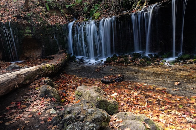 Gratis foto hoge hoek die van een waterval in een bos in karuizawa is ontsproten. tokio, japan