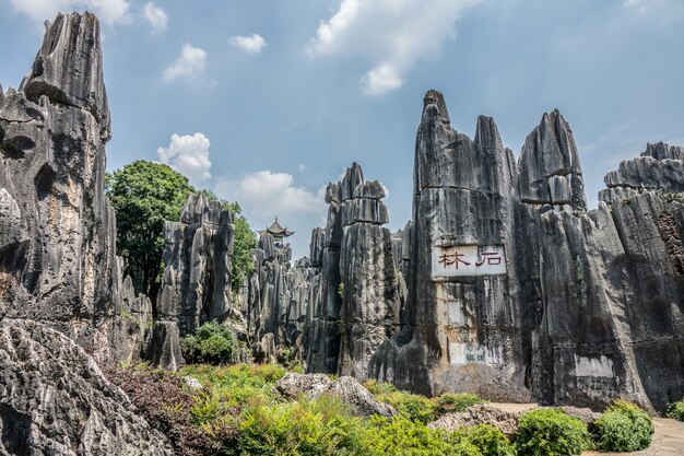 Hoge hoek die van het Naigu Stone Forest Scenic Area in het Nationaal park in Kunming, China is ontsproten