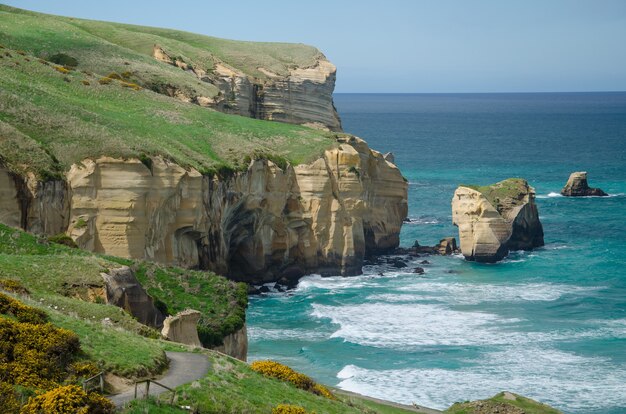 Hoge hoek die van het Tunnelstrand in Dunedin, Nieuw Zeeland is ontsproten