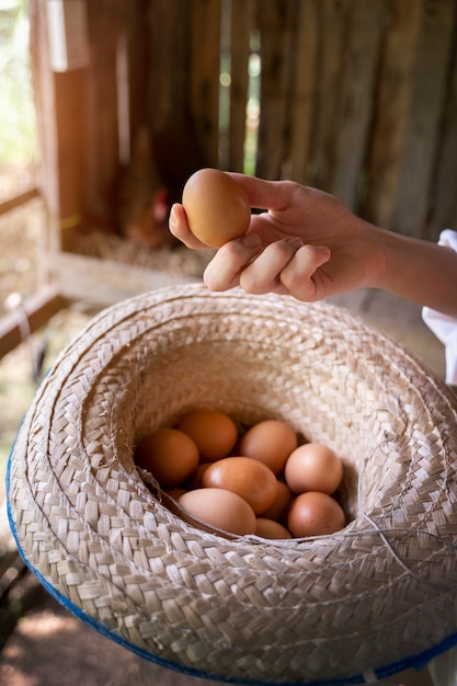 Hoge hoek hand met ei