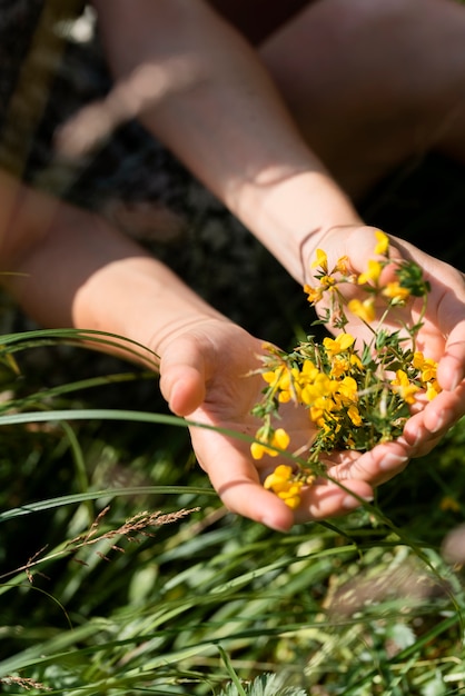 Gratis foto hoge hoek handen met bloemen