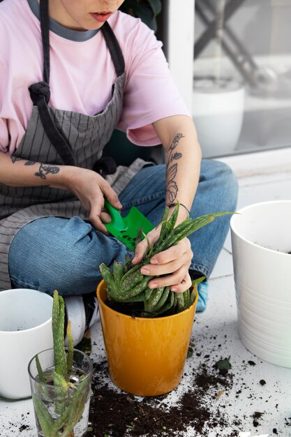 Hoge hoek handen verplanten plant
