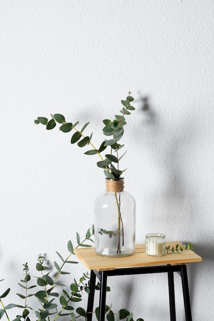 Gratis foto hoge hoek interieur met eucalyptus op tafel