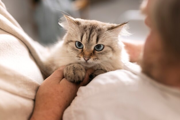 Hoge hoek ouderen met kat