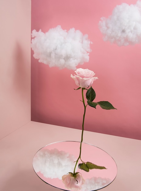 Hoge hoek roze roos en wolken