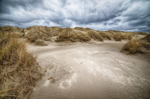 Hoge hoek shot van een meer vol vuil in het midden van een veld onder de bewolkte hemel