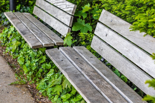 Hoge hoek shot van twee houten banken omgeven door prachtige groene planten op een park