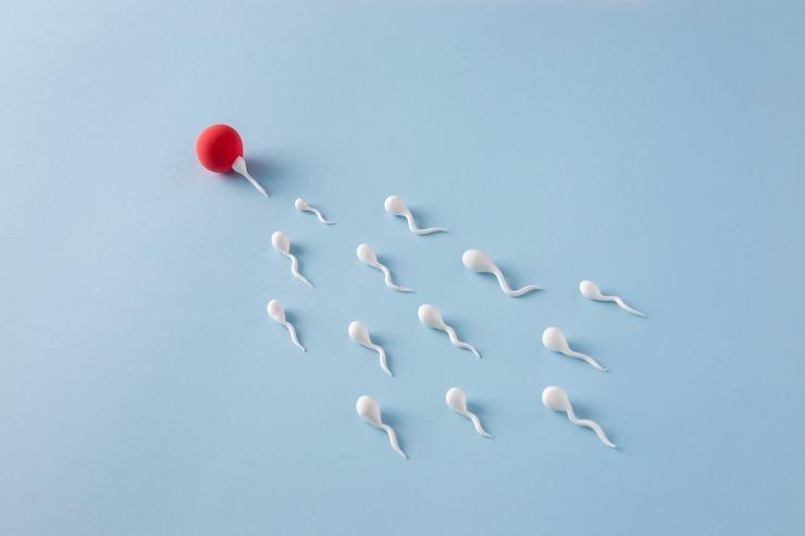 Gratis Foto hoge hoek spermatozoa en eicel