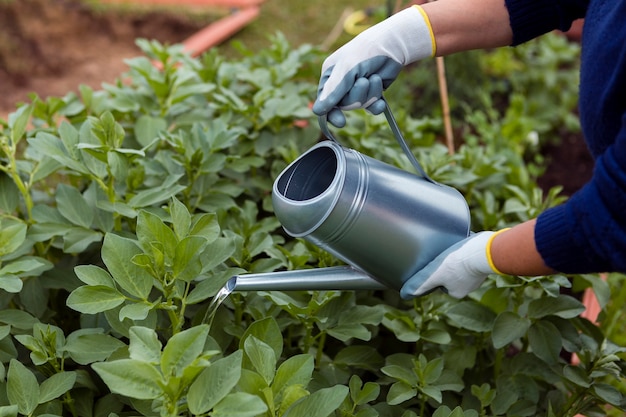 Hoge hoek tuinman planten water geven