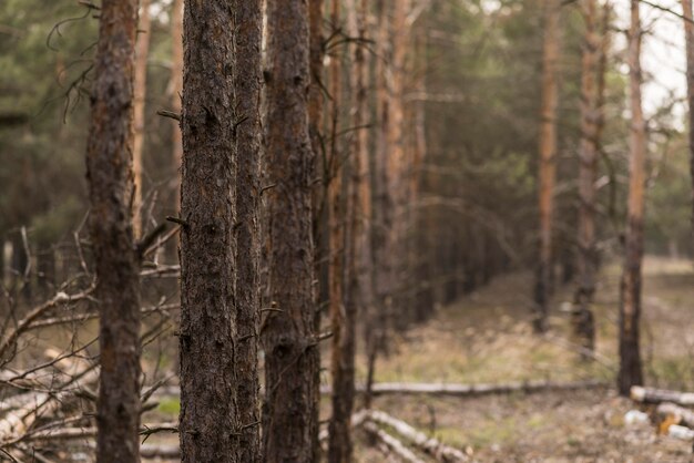 Hoge hoek uitzicht op de natuur