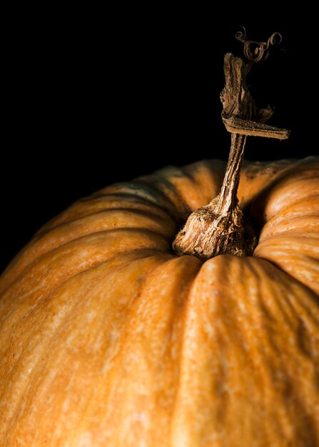 Hoge hoek van de herfstpompoen