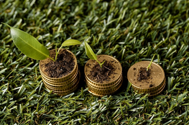 Hoge hoek van drie stapels munten op gras met vuil en planten