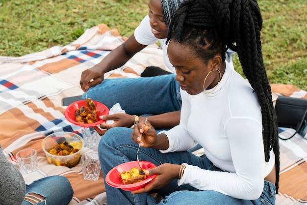 Gratis foto hoge hoek vrienden lunchen in de natuur