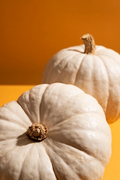 Hoge hoek witte pompoenen met oranje achtergrond