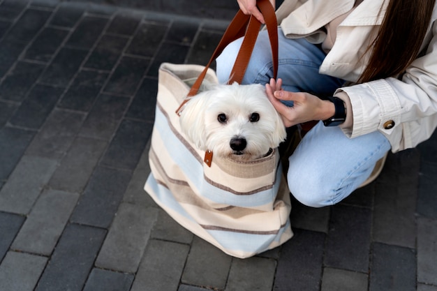 Hoge hoekeigenaar die hond in zak draagt